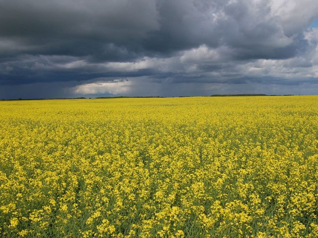 Canada’s Big Sky Country: things to do in Saskatchewan this summer